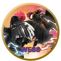 WE88